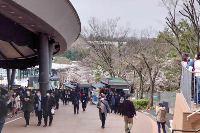 メットライフドーム